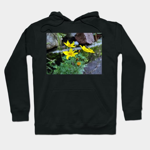 Yellow flower Hoodie by Gourmetkater